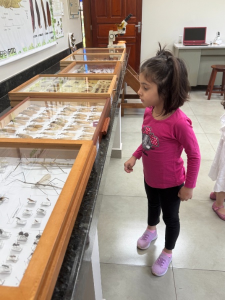 Entomokids 2025 - Cepenfito Unesp